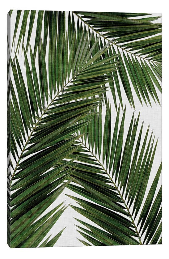 Icanvas Palm Leaf Iii By Orara Studio Canvas Wall Art In Multi