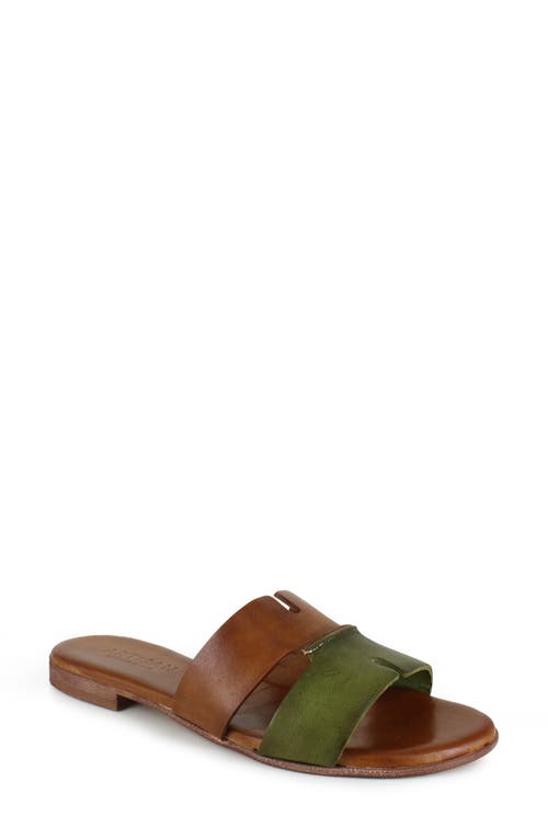 Artisan Crafted By Zigi Allony Leather Flat in Multi Brown/Green 