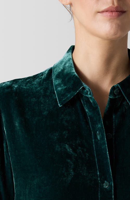 Shop Eileen Fisher Classic Collar Easy Velvet Button-up Shirt In Pine