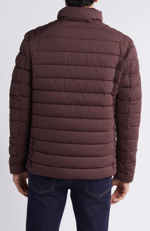 Shop Save The Duck Ari Puffer Jacket In Burgundy Black