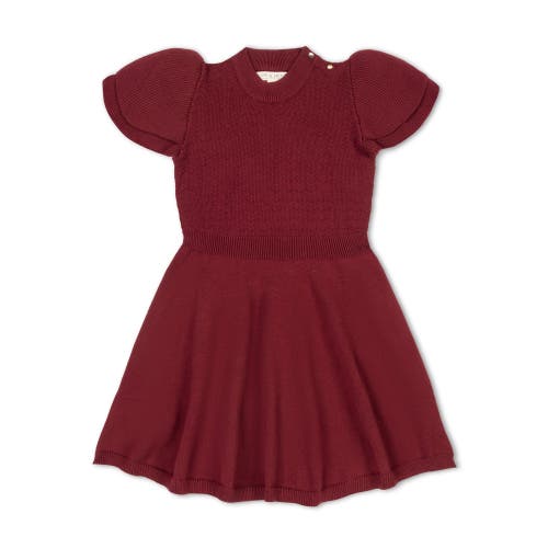 Hope & Henry Girls' Organic Flutter Sleeve Sweater Dress, Toddler In Oxblood
