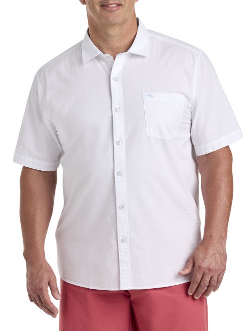 Shop Tommy Bahama Nova Wave Sport Shirt In White