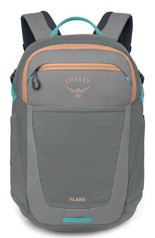 Shop Osprey Flare 27-liter Backpack In Medium Grey/coal Grey