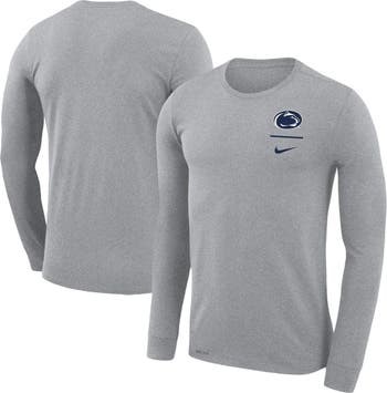Men's Tampa Bay Rays Nike Gray Large Logo Legend Performance T-Shirt