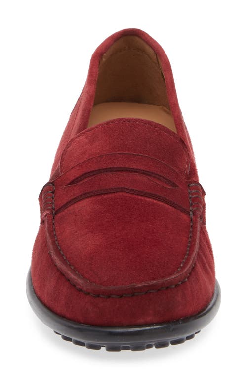 The Flexx Winter Penny Loafer In Bordeaux