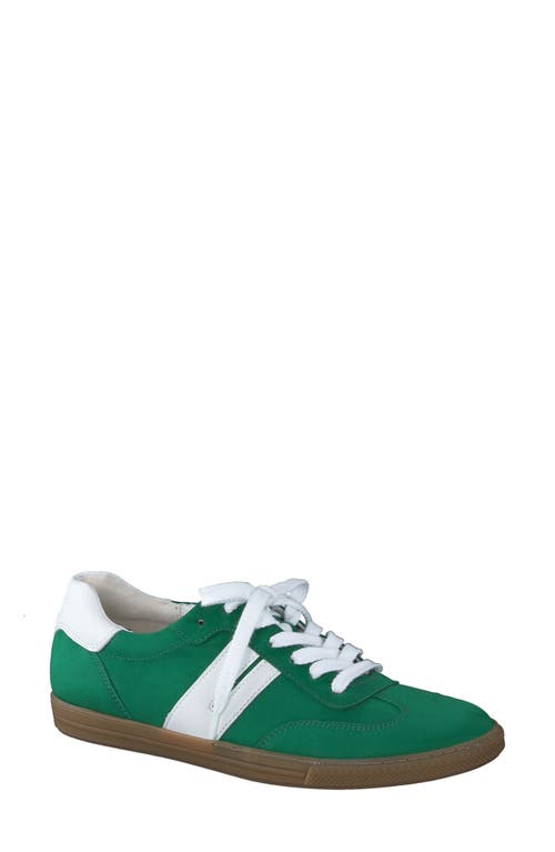 Tilly Sneaker in Green White Combo