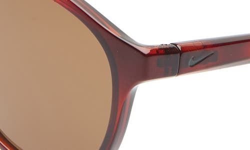 Shop Nike Kismet 54mm Round Sunglasses In Tortoise/brown