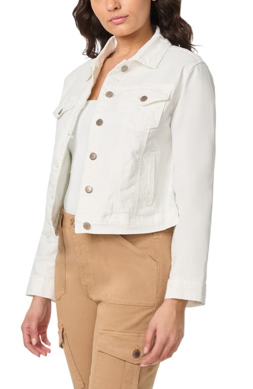 Curve Appeal Premium Essential Jacket In White