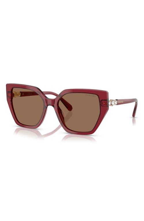 Swarovski Constella 56mm Polarized Irregular Sunglasses In Dark Brown