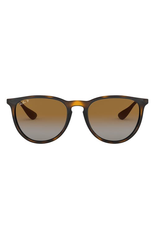 Ray-Ban 54mm Polarized Gradient Round Sunglasses in Havana at Nordstrom