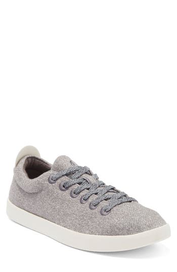 Allbirds Wool Piper Sneaker In Multi