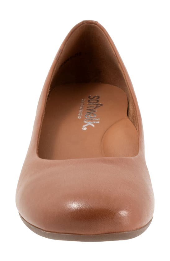 Softwalk Lynn Pump In Luggage