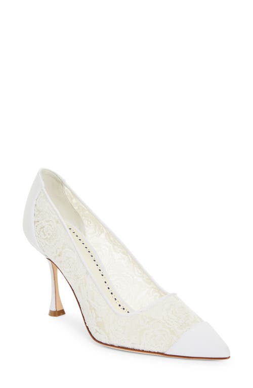 Shop Manolo Blahnik Sololaria Pointed Toe Pump In White