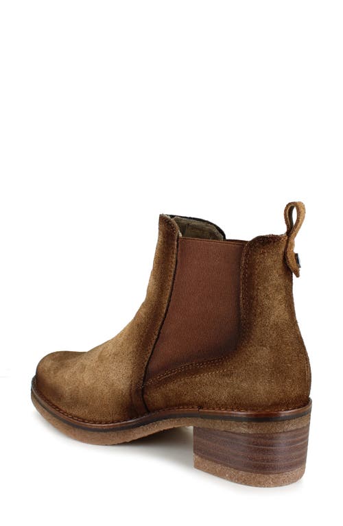 Shop National Comfort Camillah Chelsea Boot In Brown