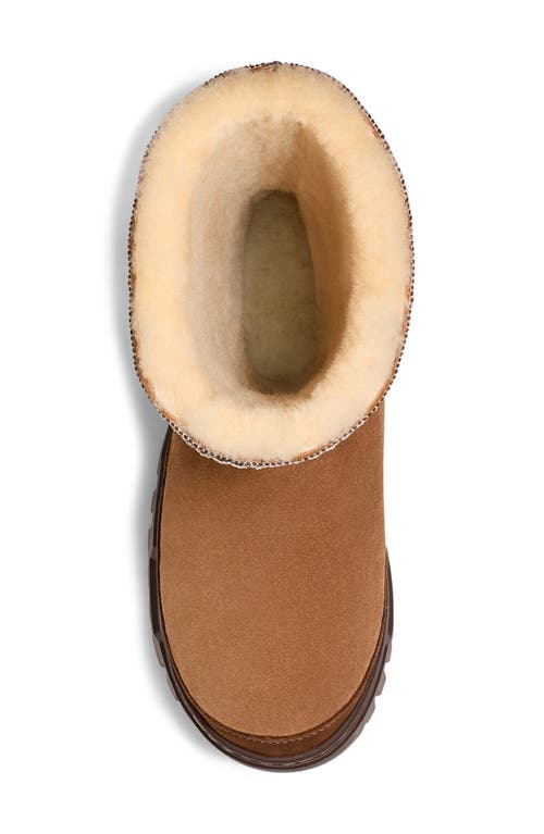 Shop Ugg(r) Classic Short Trailgazer Boot In Chestnut