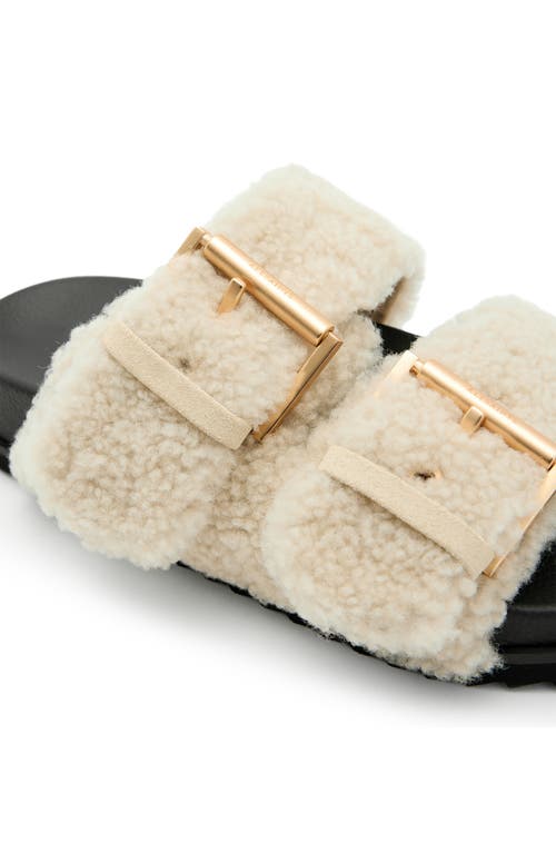 Shop Allsaints Sian Genuine Shearling Sandal In Cream White