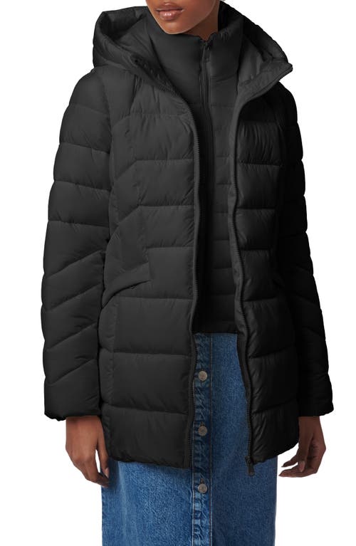 Bernardo Hooded Puffer Jacket With Bib In Black
