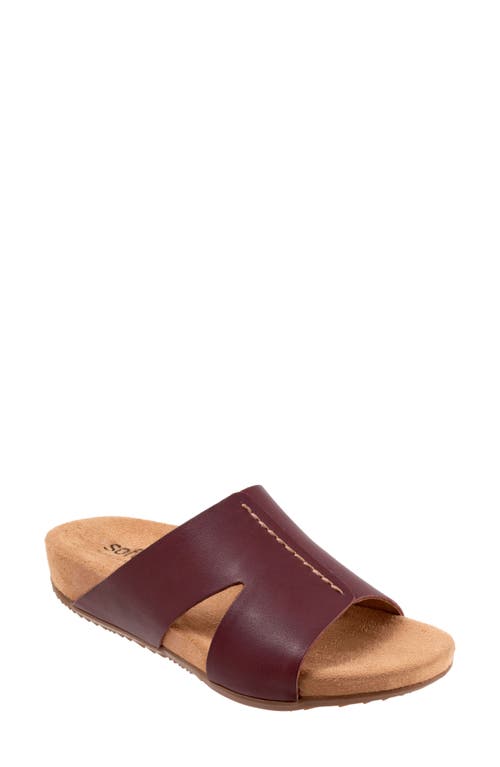 SoftWalk Beverly Sandal Mahogany at Nordstrom,