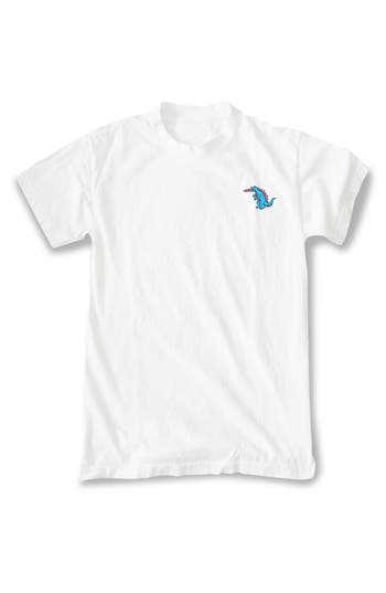 Riot Society Dinosaur Embroidered Cotton Graphic T-shirt In White