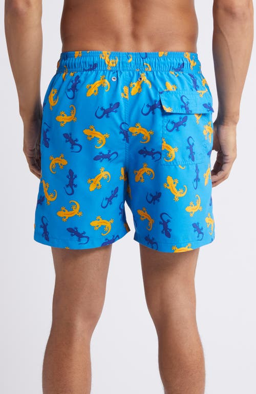 Tom & Teddy Gecko Print Performance Swim Trunks In Blue/orange