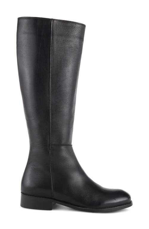 Shop Spring Step Hightail Knee High Boot In Black