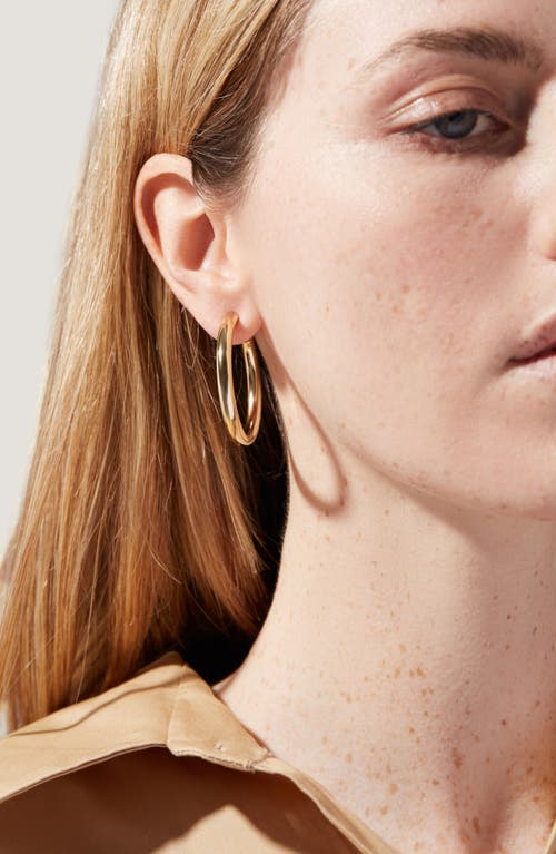 Shop Ana Luisa Hoop Earrings In Gold