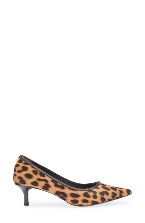 Tory Burch Double T Buckle Genuine Calf Hair Kitten Heel Pump In Leopard Print Calf Hair