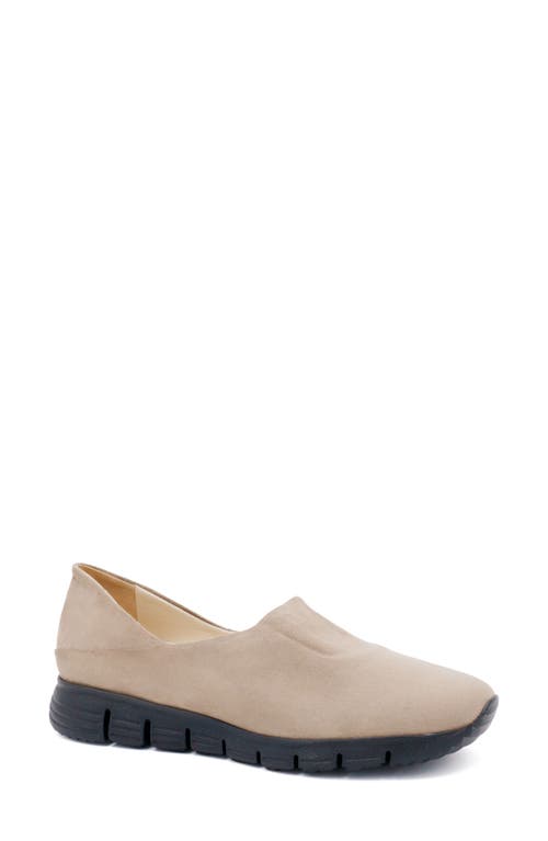 Shop Amalfi By Rangoni Jerry Slip-on Sneaker In Oat Pasha