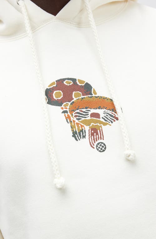 Stance Interconnected Mushrooms Hoodie In Bone In Bone