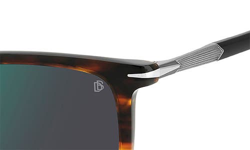 David Beckham Eyewear 53mm Rectangular Sunglasses In Brown Horn