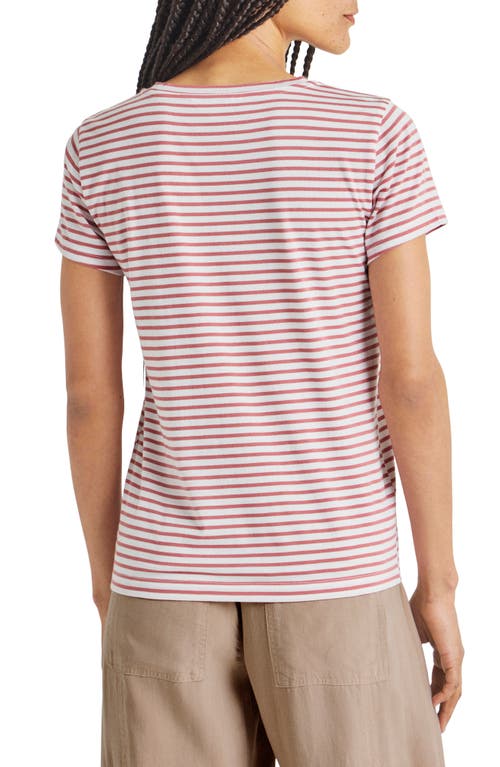 Shop Splendid Lulu Stripe T-shirt In Dawn/white