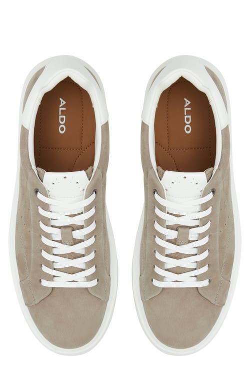 Shop Aldo Marconi Sneaker In Grey