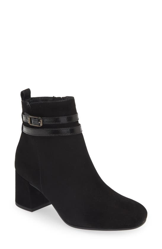 Paul Green Sydney Buckle Bootie In Black