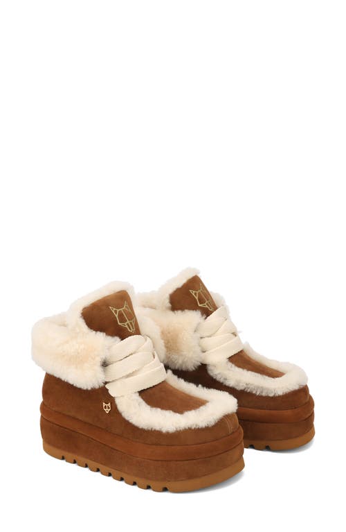 Shop Naked Wolfe Bambi Genuine Shearling Platform Bootie In Tan-suede/shearling