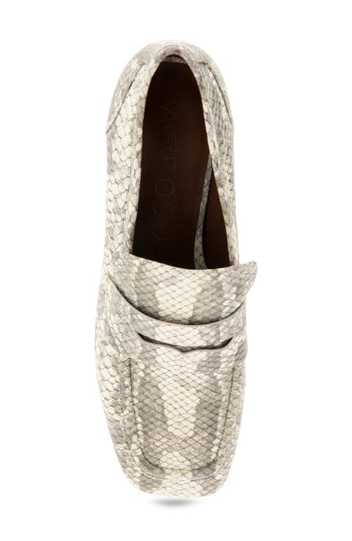 Shop Aerosoles Cavour Platform Penny Loafer Pump In Roccia Snake Print Leather