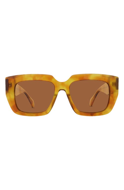 The Irina Square Sunglasses in Honey Tort-Brown
