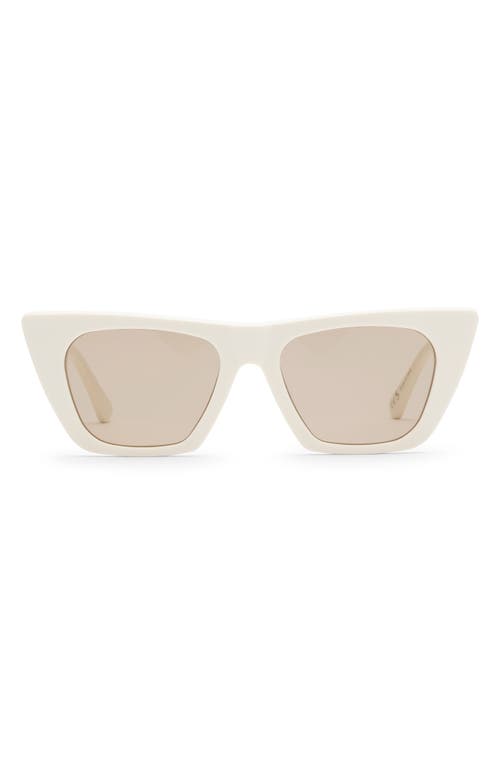 Noli 50mm Cat Eye Sunglasses in Ivory/Amber