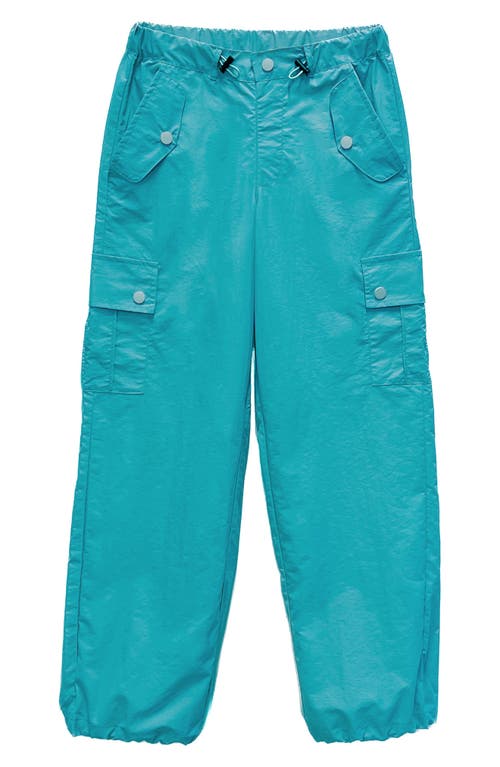 Tractr Kids' Parachute Cargo Pants at Nordstrom,