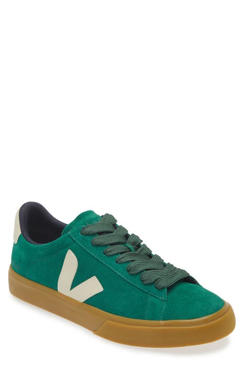 Shop Veja Campo Sneaker In Golf Pierre