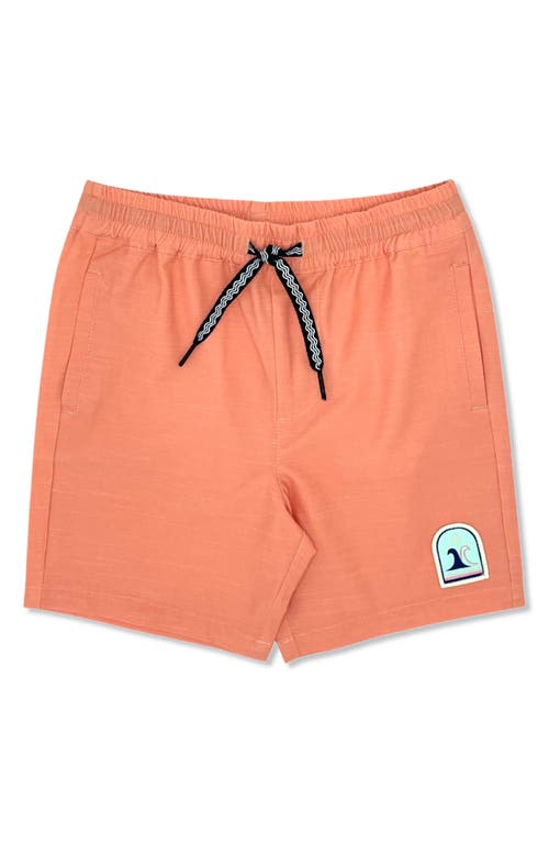 Feather 4 Arrow Seafarer Hybrid Shorts in Pap