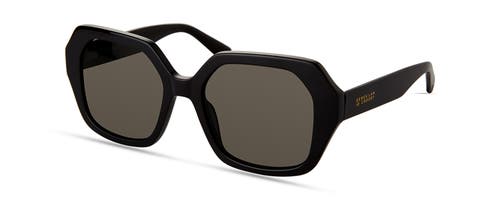 Derek Lam 10 Crosby Neptune Sunglasses In Black