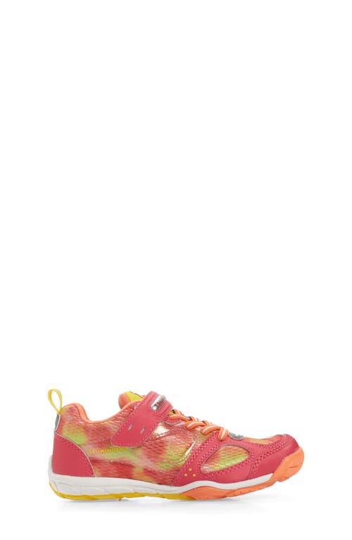 Tsukihoshi Mako Washable Sneaker In Fuchsia/multi