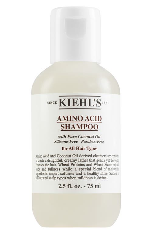 EAN 3605970003845 product image for Kiehl's Since 1851 Amino Acid Shampoo in Bottle at Nordstrom, Size 33.8 Oz | upcitemdb.com