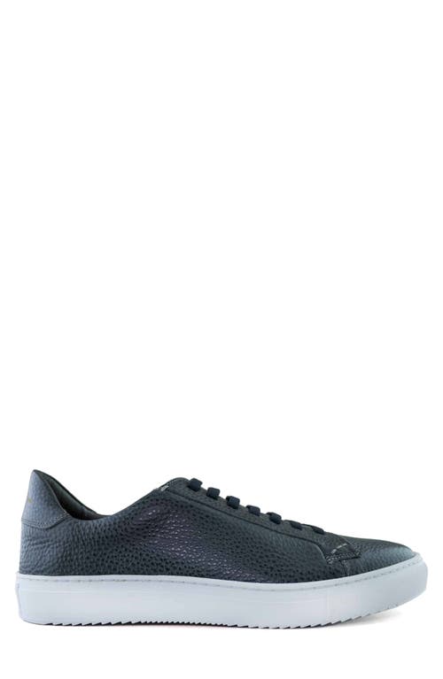 Gernie 36s Low Top Sneaker In Grey Garda