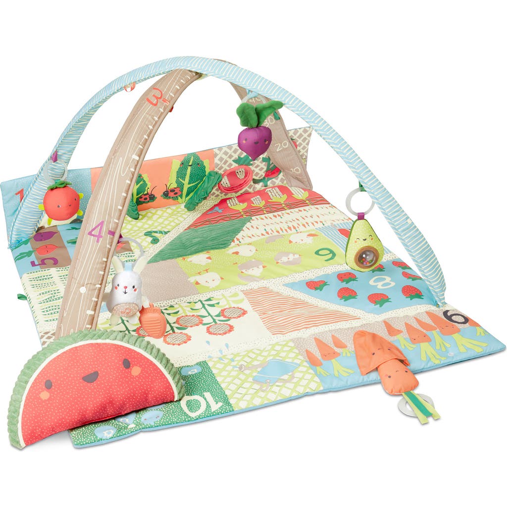 Skip Hop Farmstand Grow & Play Activity Gym In Multi