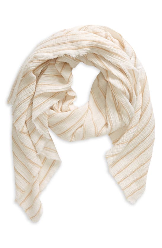 Shop Nordstrom Stripe Cotton Scarf In Ivory Combo