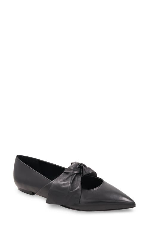 Prely Pointed Toe Flat in Black