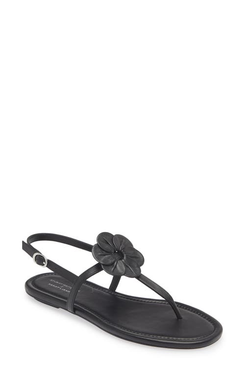 Stuart Weitzman X Sandy Liang T-strap Slingback Sandal In Black Smooth Calf