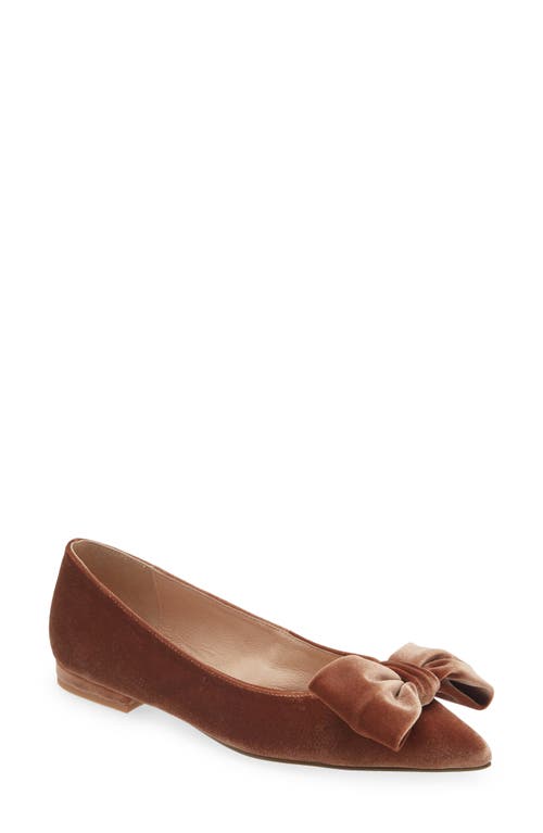 Brie Bow Pointed Toe Flat in Dark Taupe Velvet