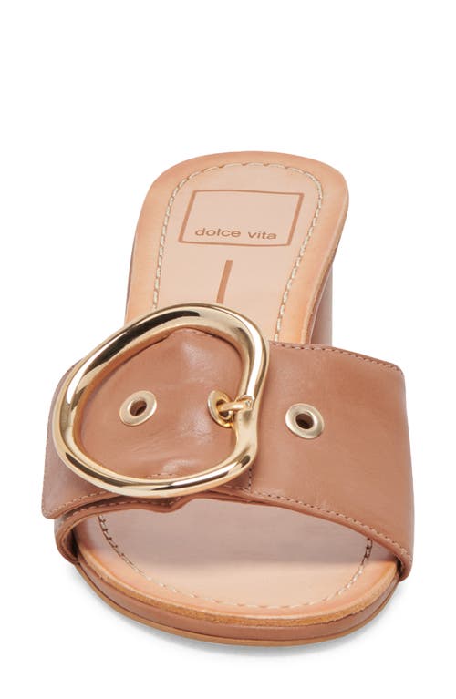 Dolce Vita Laika Slide Sandal In Cider Leather